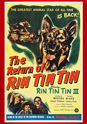  Return Of Rin Tin Tin [Edizione: Stati Uniti]