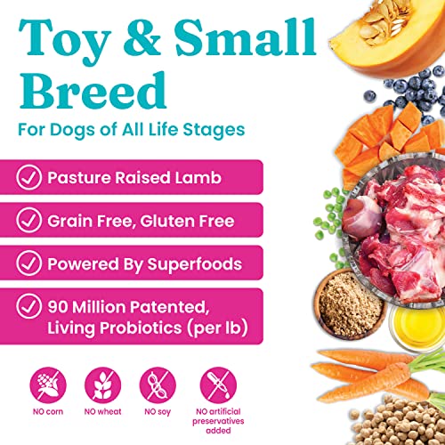 Solid Gold Mighty Mini Small Breed Dog Food - Dry Dog Food For Any Toy Breed - For Gut Health & Sensitive Stomach Support - Digestive Probiotics For Dogs - Grain & Gluten Free Recipe #TOP2