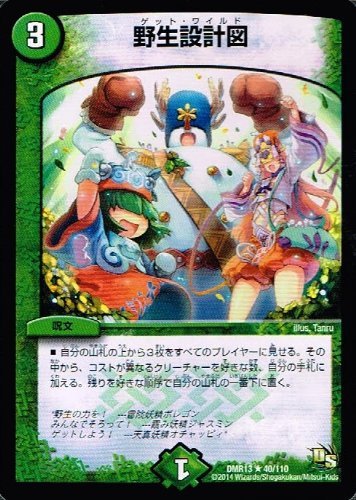 Amazon.co.jp: 野生設計図 レア デュエルマスターズ 龍解