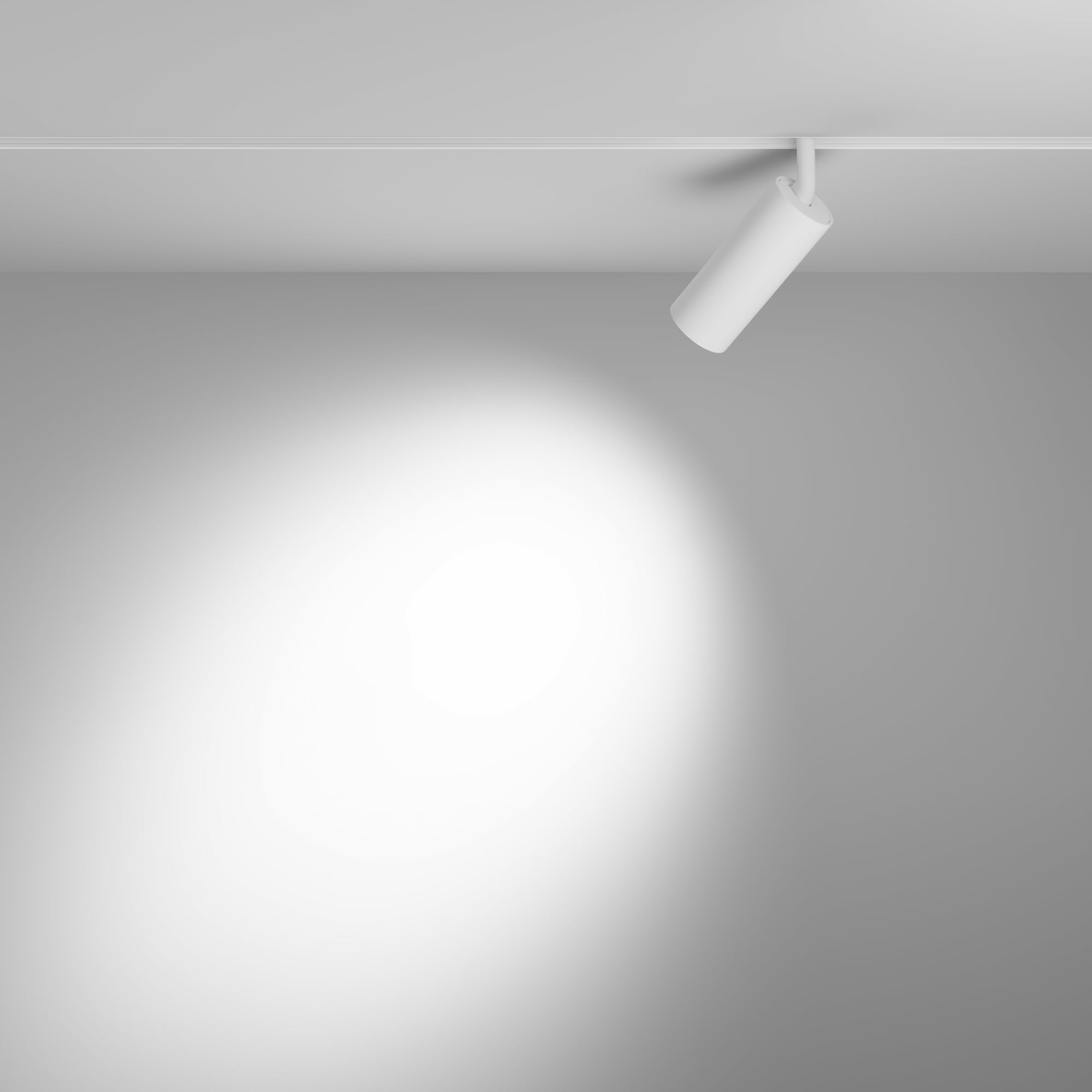 Illuminazione a binario magnetica 23mm EXILITY Focus LED Bianco Alluminio IP 20 DC 48 12 W per cucina, sala, studio, camera da letto