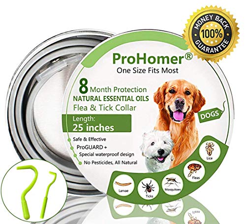 ProHomer Collari Antiparassitari Collare, Antiparassitario per Cani per Tutti i Tipi di Cani Impermeabile (2)