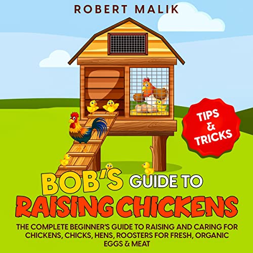 Bob's Guide to Raising Chickens by Robert Malik episode artwork