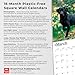 Black Labrador Retrievers | 2026 12 x 24 Inch (Hanging) Monthly Square Wall Calendar | Plastic-Free | BrownTrout | Animals Dog Breeds