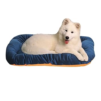 Hiputee Dog Cat Pet Bed Cushion ? Soft, Comfortable, Warm, Reversible, Washable (XL, Blue-Orange)
