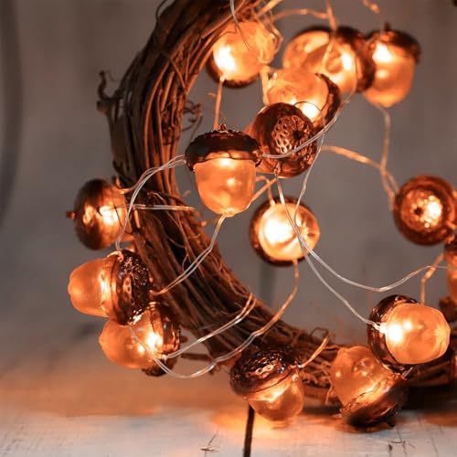 Sunshine smile Eicheln Lichterkette Herbst,2M 20 LED Lichterkette,Outdoorlichterkette Batterie,Herbst Eichel Dekoratives Licht für Erntedankfest,Weihnachten,Hochzeit,Geburtstag Party