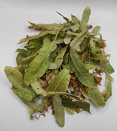 Tilo Seco Salvaje Hojas y Flores 85g a 1.95KG Cosecha Mayo 2022 Tilia Cordata (1950 gramos) - Imagen 6