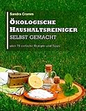 Ökologische Haushaltsreiniger selbst gemacht: über 70 einfache Rezepte und Tipps