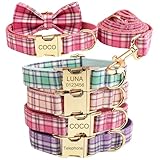 Personnalisation personnalisée : donnez à votre animal de compagnie un look unique et élégant en personnalisant ce collier avec le nom et les coordonnées de votre animal de compagnie. Un accessoire attentionné et pratique pour chaque propriétaire de chien.