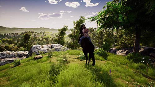 Whisper : Ari La Cavalière Intrépide Switch - vue 7