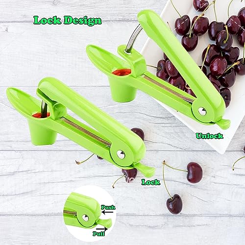 Stainless Steel Fruit Pit Remover Tool Stainless Steel Cherry Pitter ...