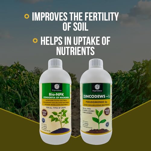 Image of OrganicDews Bio NPK consortia (5x10^8 CFU /ml) 1 Litre + Zinc Solublizing Bacteria (2x10^8 CFU /ml) 1 Litre COMBO Bio Inoculum Fertilizer for Plants - Soil Fertility, Plant Growth & Increases the Yield