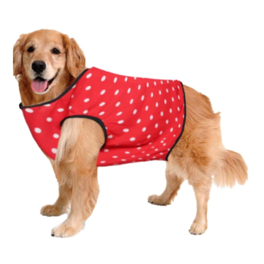 Sage Square Dog T-Shirt - Funky Polka Red, 14-Inch | Comfortable, Breathable - Trendy Dog Clothing, Upgrade Your Dogs Style, Stay Fashionable and Comfortable,Elevate Your Dogs Wardrobe and Trendy. (B0B746GD94) Amazon Price History, Amazon Price Tracker