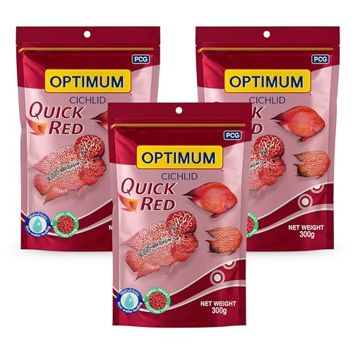 Foodie Puppies Optimum Cichlid Quick Red Small Pellet Fish Food - 300gm (Pack of 3) | Added with Fish Meal & Corn Gluten Meal | All Aquarium Fish with Free Key Ring