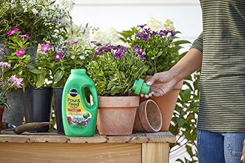 Miracle-Gro Fertilizante Líquido 32 oz Pack 6 miniatura 5