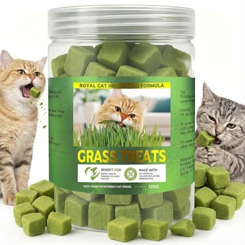 Cat Grass Treats for Indoor Cats, Hairball & Dental Health