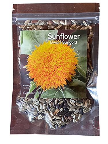 Dwarf Sunflower Seeds - Sunflower Seeds for Planting - Golden Yellow Flowers Seeds