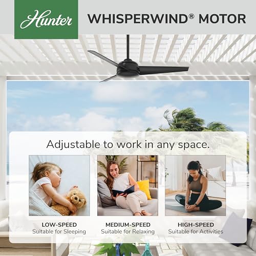 Image of Hunter Trimaran, Outdoor or Indoor, Ceiling Fan, 52 inch, Matte Black