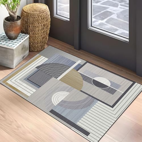SUNLIMEI Tapis Cuisine 50 x 120 cm Lavable Antiderapant Tapis Salle de Bain, Poil Court Doux, Absorbant, Moderne Design pour Salon, Chambre, Cuisine, C