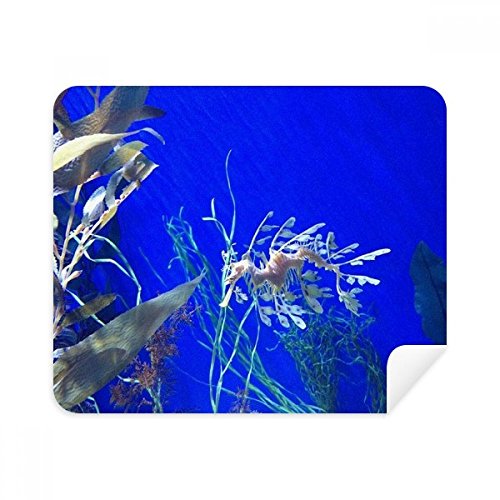 Tissu Nettoyage Écran Lunettes Suede au Motif Hippocampus Finition Premium Océan