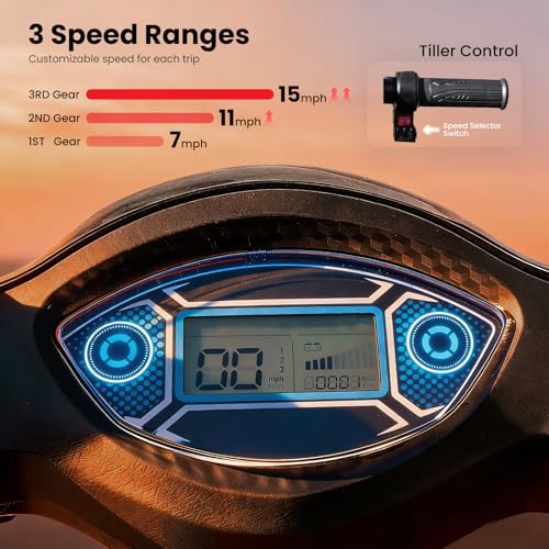Super Large Electric 4 Wheel Mobility Scooters, Heavy Duty 800W Wheelchair Device, 25 Miles Long Range, All Terrain Mobility Scooter,Speed Adjust, Remote Key,Receive Ready to Ride (Blue)