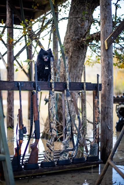 COJO Hunt-Safe Gun Magnet, 6 Pack, for Pit Blinds, Deer Stands, ATVs, UTV Racks, Duck Blinds, Vehicle Holsters, Vehicle Racks, Truck Rack, Truck Racks