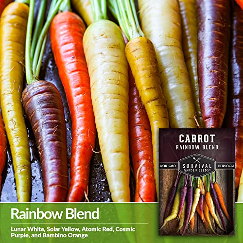 Rainbow Carrot Seeds for Planting – Survival Garden Seeds (1 Pack) - Image 3