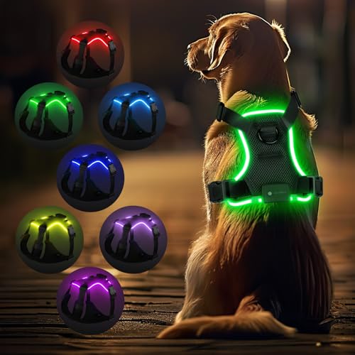 MASBRILL Pettorina Luminosa per Cani, LED Pettorina con Luce per Cuccioli di Taglia Piccola, Media e Grande, 8 Modalità di Illuminazione, Regolabile, Impermeabile, per Passeggiate Notturne(Nero L)