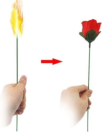 Amazon Enjoy 火がバラに変わる 多様な色 説明書付き ロマンチックプロポーズ 花のマジック道具 マジックバラ 10個入 マジック 手品 おもちゃ