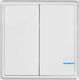 TSSS Funkschalter Lichtschalter Schalttafel mit LED Anzeige Licht (Enthält keinen Empfänger) (2 Kanal)