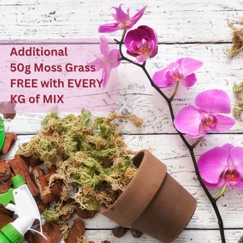 Image of Orchid Soil Mix (0.5KG), Chunkiest Potting, Ready to use Mixture, COMBO with Moss Grass, 100% Natural and Organic, Tall Shiny Orchids, Essential & Powerful (500 Grams + 25 Gm Moss Grass)