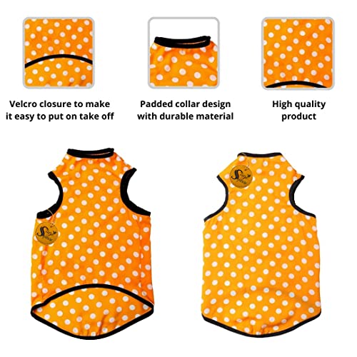 Image of Sage Square Crazy Printed Dog T-Shirt, Trending Dog T-Shirt, Ultra Soft & Light Weight, Comfortable & Breathable Dog Apparel, Trendy Outfit (XXLarge - 28 inch) (Polka Orange)