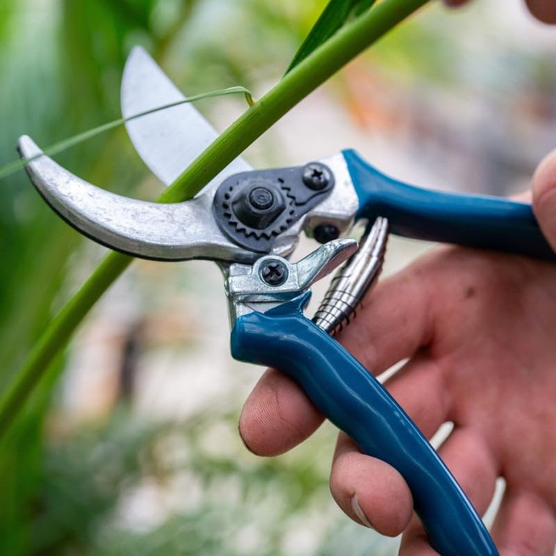 Gemplers Low-Cost Bypass Pruner