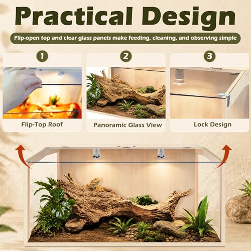 Image of PROLEE Bearded Dragon Tank, Lizard Tank with Clear Tempered Glass, Anti-Scratch Reptile Enclosure, Reptile Tank Built-in Light Fixtures with Switch (32X16X16inch,34 Gallon)