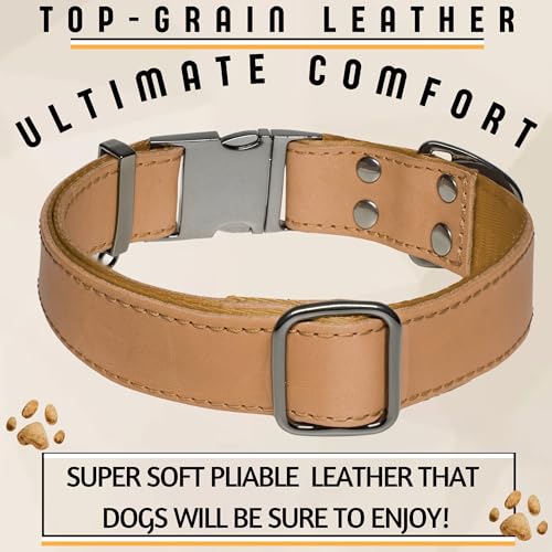 Image of ADITYNA Leather Dog Collar for Medium & Large Dogs, Adjustable 15-21 inch Neck | Padded, heavy-duty metal buckle. Great for walking, training and hiking - ideal for Labrador, Boxer, Pitbull and Collie.