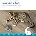 Catstages Nighttime Cuddle Plush Cat Toy with Catnip and Glow Details, Blue - Soft, Comfortable, Quiet