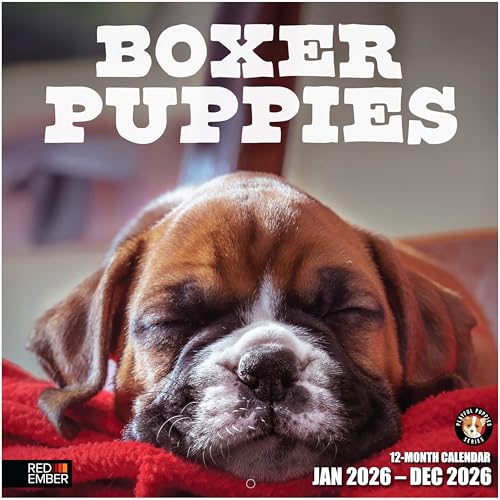 RED EMBER Boxer Puppies 2026 Wall Calendar 12 Month | 12' x 24' Open | Thick & Sturdy Paper | Holiday Gift | Cute Puppy Dog Calendar 2026