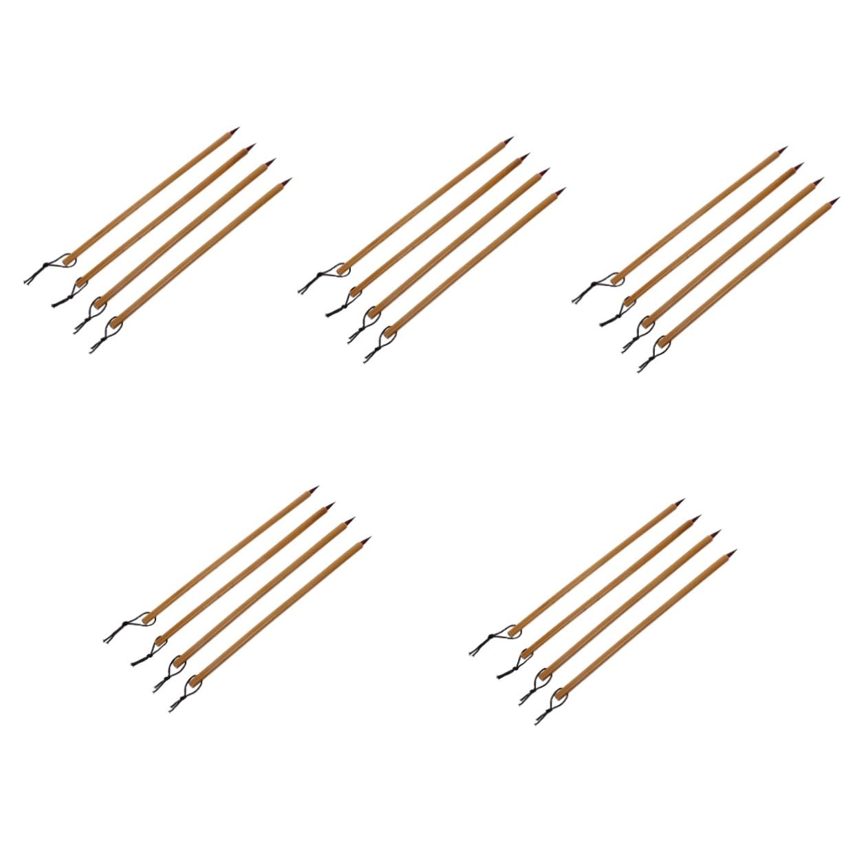 Angoily 5 Set Calligrafia Per Principianti Professionisti Versatili Per Scrittura 4 Pezzi*5