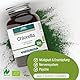 GSE Chlorella Presslinge, 550 Tabletten, Nährstoffreiche Mikro-Alge, reich an Chlorophyll, 100% pflanzlich, vegan und ohne Zusatzstoffe, BIO-Qualität