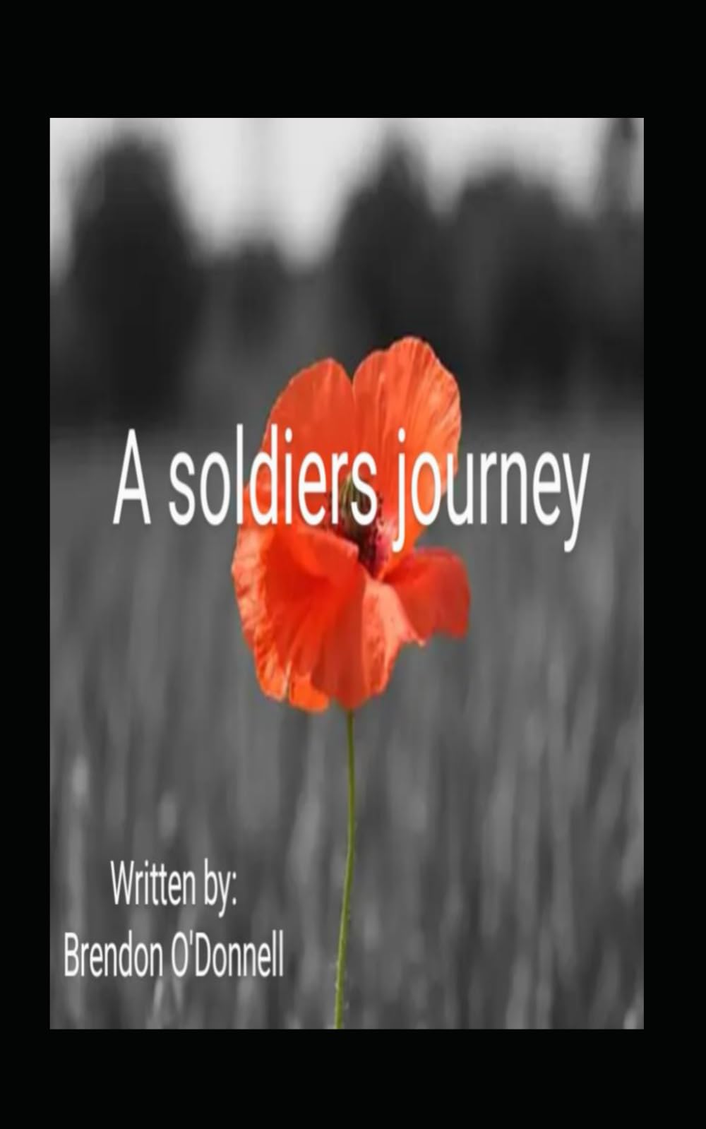 A soldiers Journey