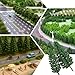 16 Pcs Model Pine Trees, 1.4-6.3 Inch Mixed Miniature Trees Diorama Supplies Fake Tree Landscape Tree for DIY Crafts, Building Model Scenery Landscape (Natural Green)