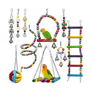 Vogelspeelgoed 10 Stks Set Speelgoed Papegaai Houten Roterende Ladder Sepak Takraw Kralen Bal Bell Bird Chewable Bite…