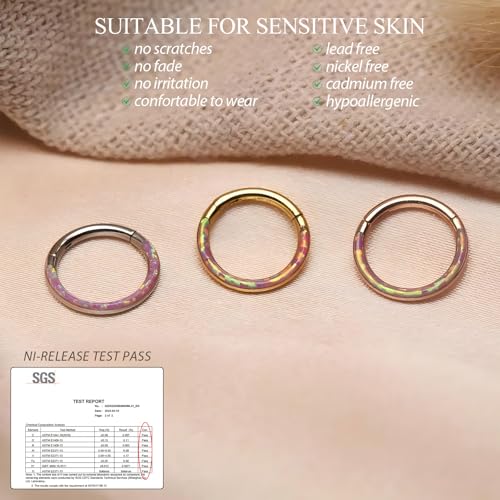 Image of PEAKLINK 16G 18G 316L Stainless Steel CZ /OPAL Septum Piercing Septum Clicker Ring Hinged Nose Ring Daith Earrings Conch Piercing Jewelry Helix Cartilage Tragus Lobe Belly Hoop Earring