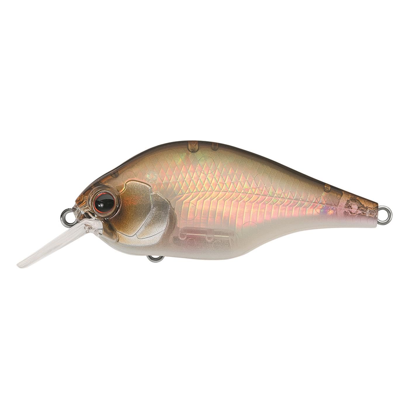 Leurre ZERUCH CRANKBAIT Daiwa multicolore de 122 cm