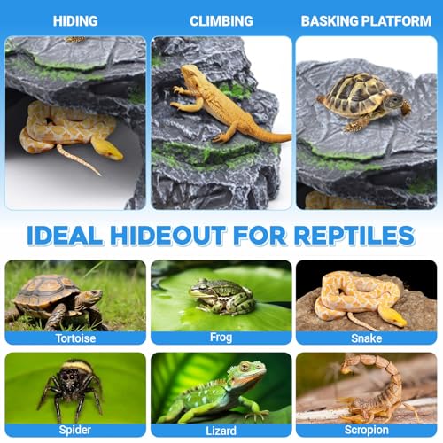 GOZILLA Turtle Basking Platform,Turtle Tank Decoration for Aquariums and Terrarium.Step & Cave Reptile Habitat Hideout for Tortoise, Gecko and Beard Dragon.(Black-M)