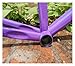 Purple Chromium Molybdenum Steel Fixed Gear Frame 50cm 52cm 55cm 58cm Fixie Cycle Part(Purple,52cm)