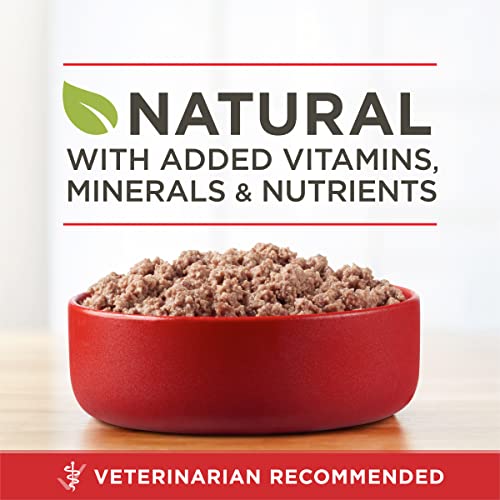Image of Purina ONE Wet Dog Food True Instinct Classic Ground Grain-Free Formula With Real Beef and Bison High Protein Dog Food - (Pack of 12) 13 oz. Cans