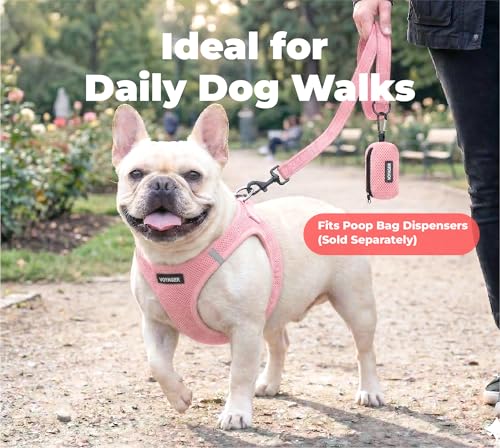 Image of Best Pet Supplies Voyager Reflective Dog Leash or Collar with Neoprene Handle, for Small, Medium, and Large Breed Puppies, Cute and Heavy Duty for Walking, Running and Training - Pink (Leash), L