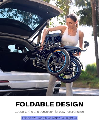 Rakowe Folding Electric Bike