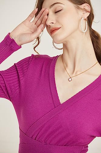Image of RanRui Womens Winter Fall Pleated Knitted Fit and Flare Long Sleeve Sweater Dress