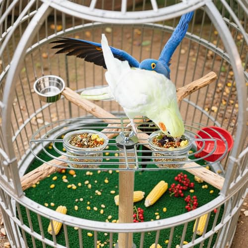 Mangeoire pour oiseaux transparente avec perchoir suspendu pour perruches - 5